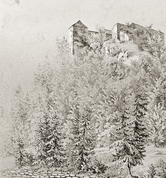 Historic castle ruins on a forested hillside in a pencil sketch style.